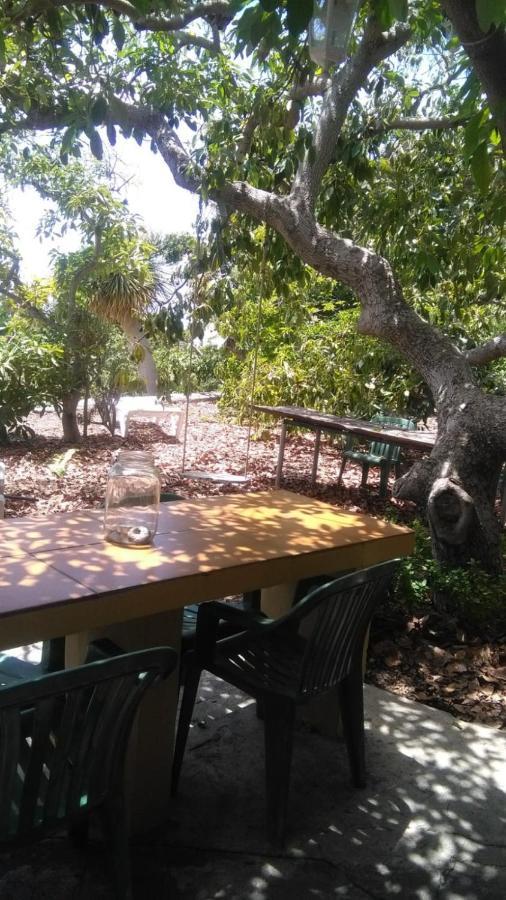 Villa Casa Los Mangos à Tijarafe Extérieur photo